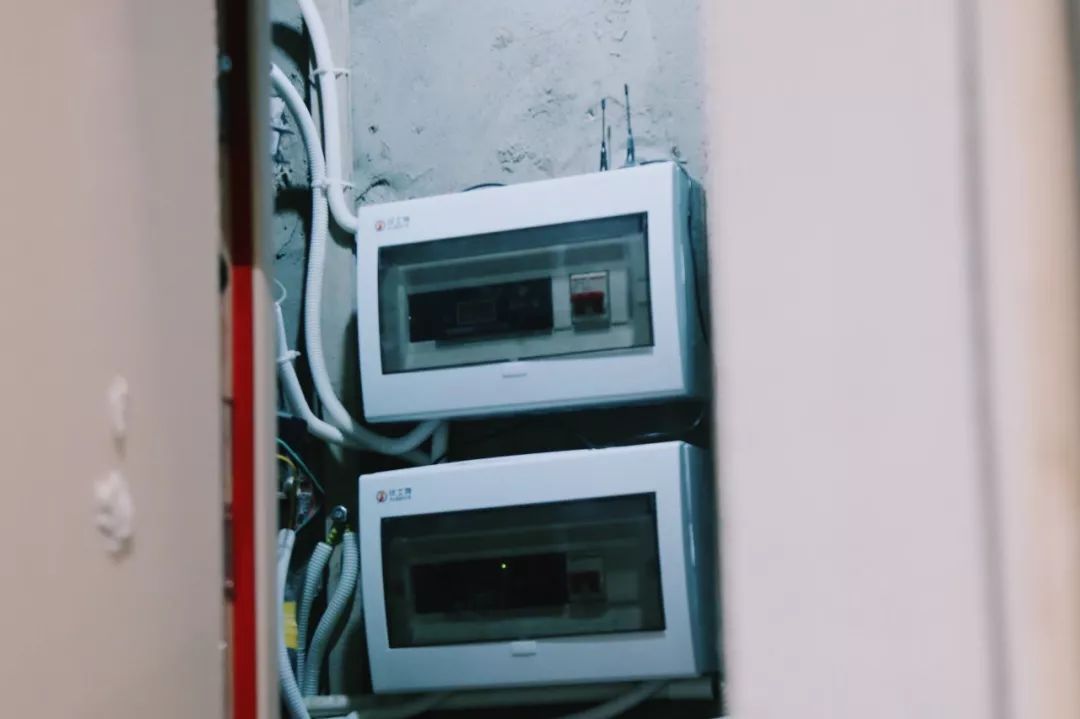 在江夏，我遇见了青松