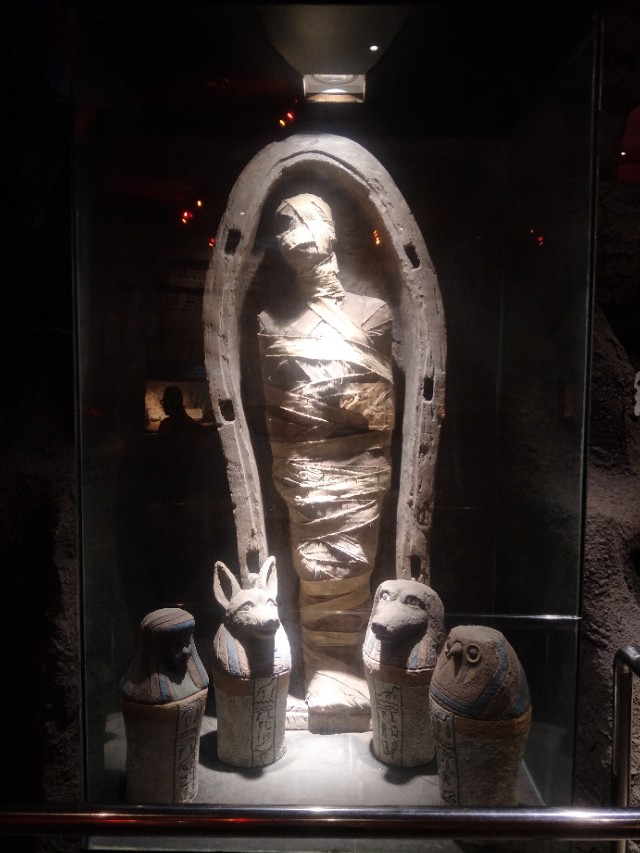 抚顺皇家海洋乐园冲浪馆图片,抚顺皇家极地海洋乐园视频