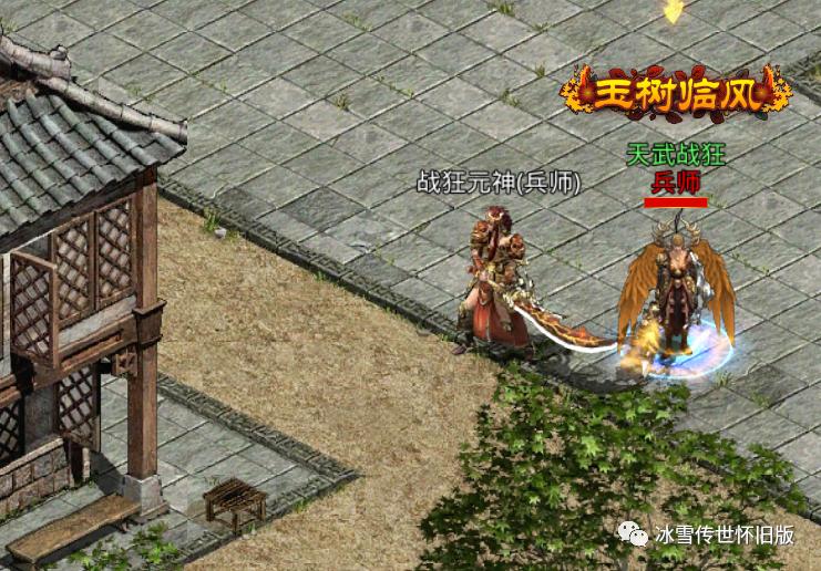 传世元神搭配什么阵容最好,传世狂暴版元神职业搭配