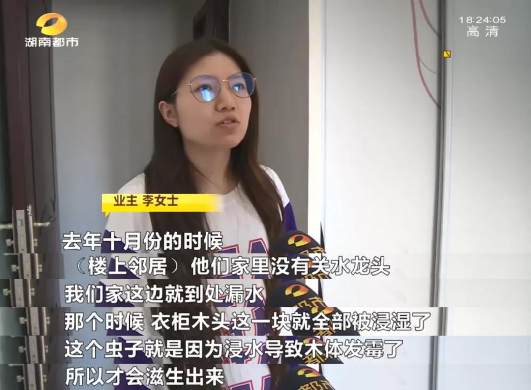 长沙女子一觉醒来，枕头边有虫仔细一看家里全是！很多人家里可能也有专家：建议这些东西都烧掉
