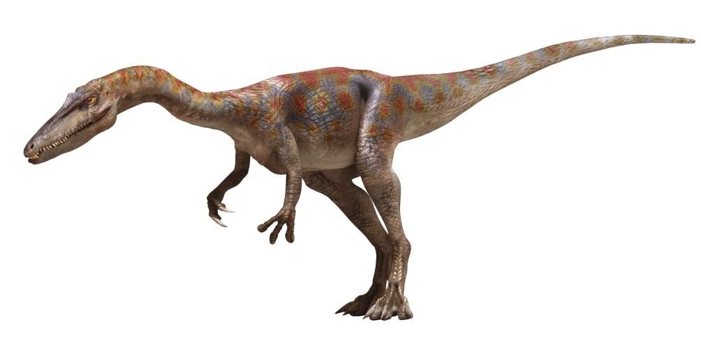 三叠纪晚期肉食恐龙,三叠纪的恐龙有哪些图片