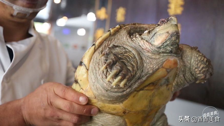 èng菜都吃过,你喝过èng汤吗?