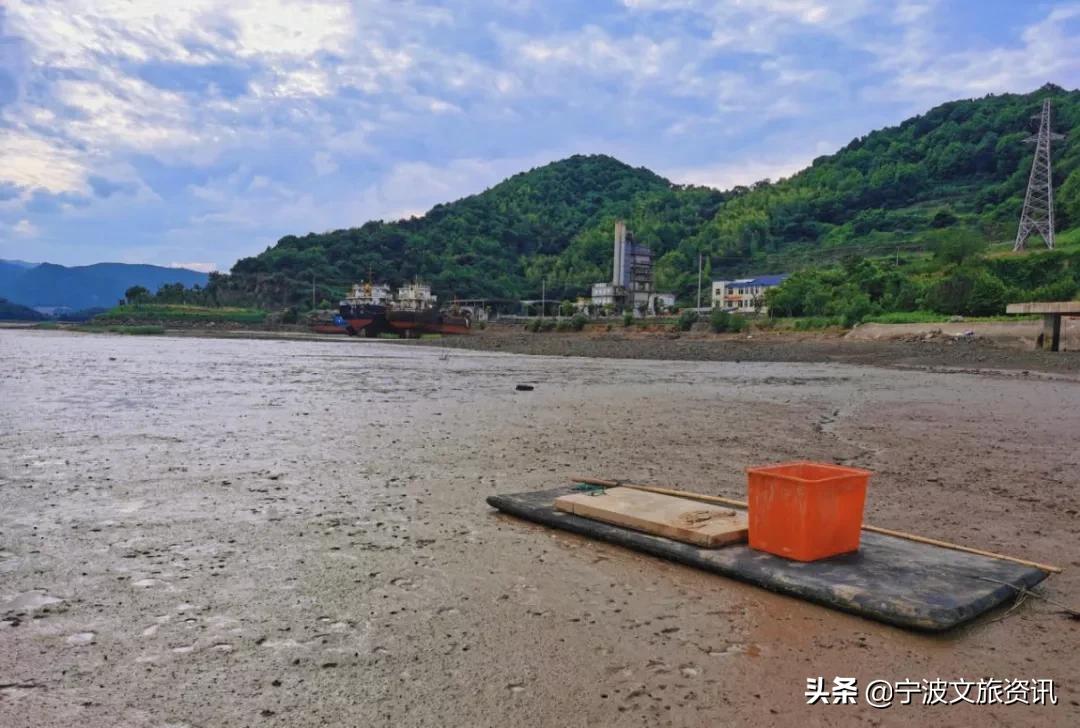 新桥玩的地方,新桥有哪些可以游玩的地点