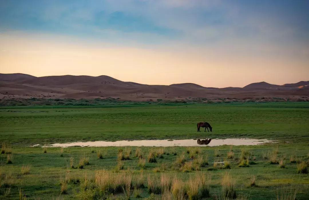 亲子旅行年度总结,亲子旅行家长发言