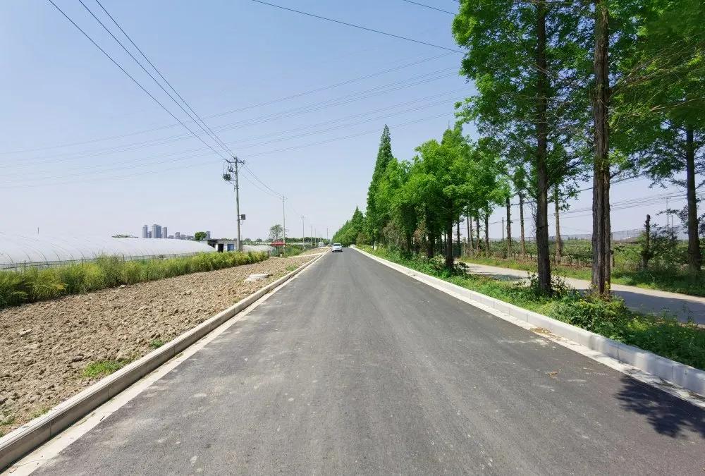 昆山张浦视频,昆山张浦最新消息