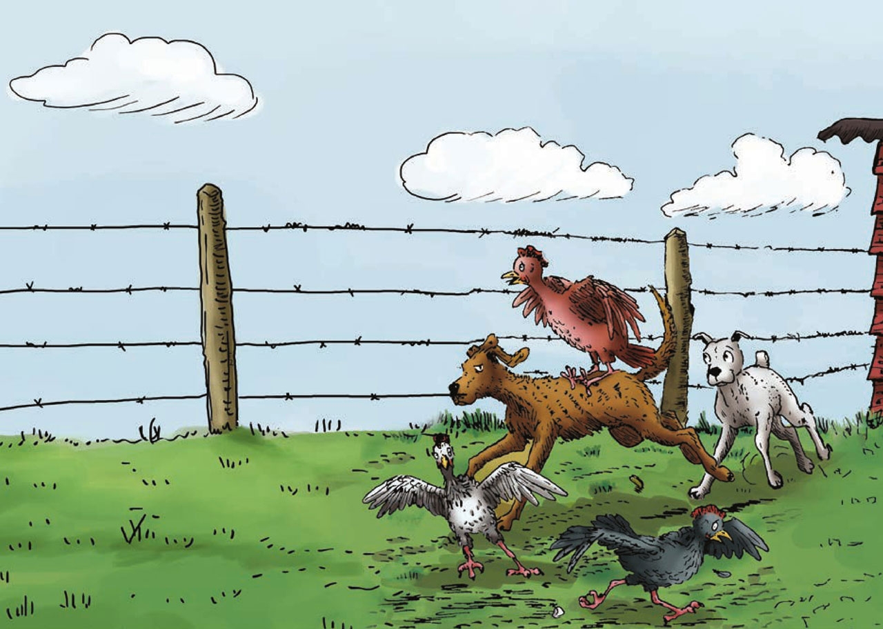 警犬汉克历险记完整版,警犬汉克历险记为什么绝版