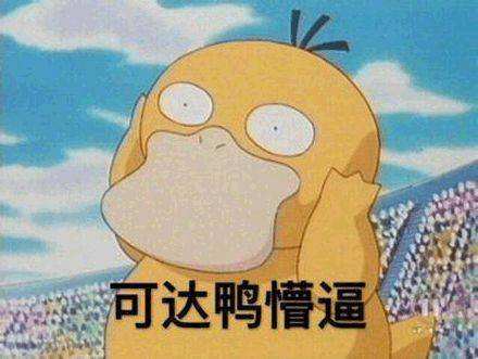 宝可梦孵蛋带什么宝可梦,宝可梦剑盾什么宝可梦不能孵蛋