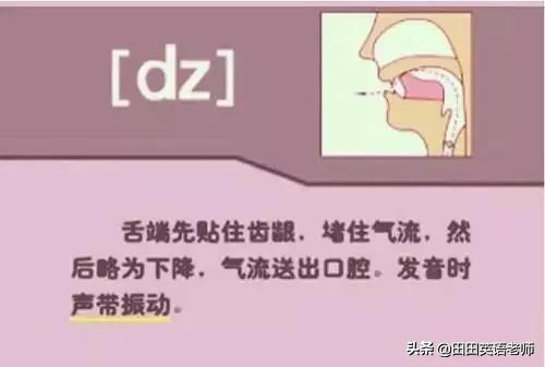 基础英语48个国际音标详解，赶紧来学习！