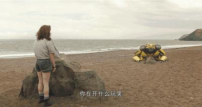 巨型大黄蜂图鉴大全,变形金刚大黄蜂萌宠