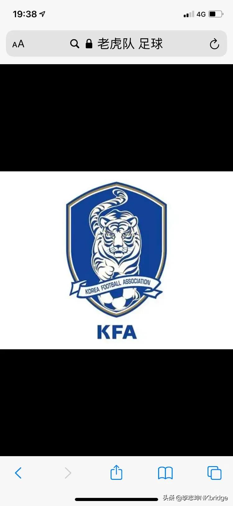 老虎俱乐部logo设计,俱乐部足球队徽名字