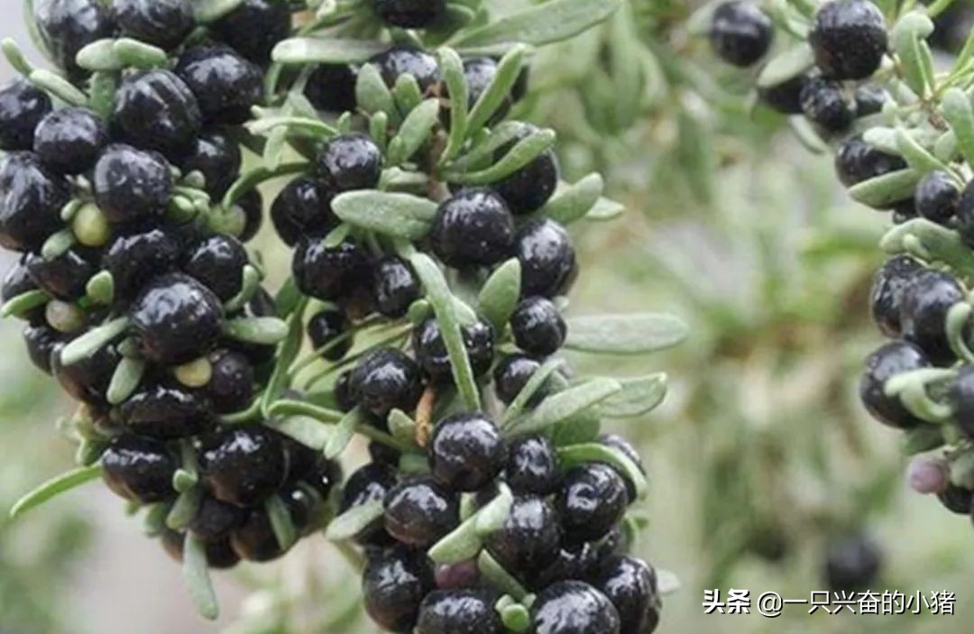 要成交几单才有标签,要成交的时候该说什么话