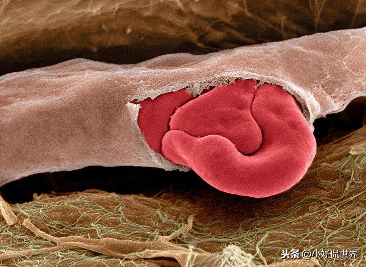 教科书照片与现实照片,教科书图片里的人