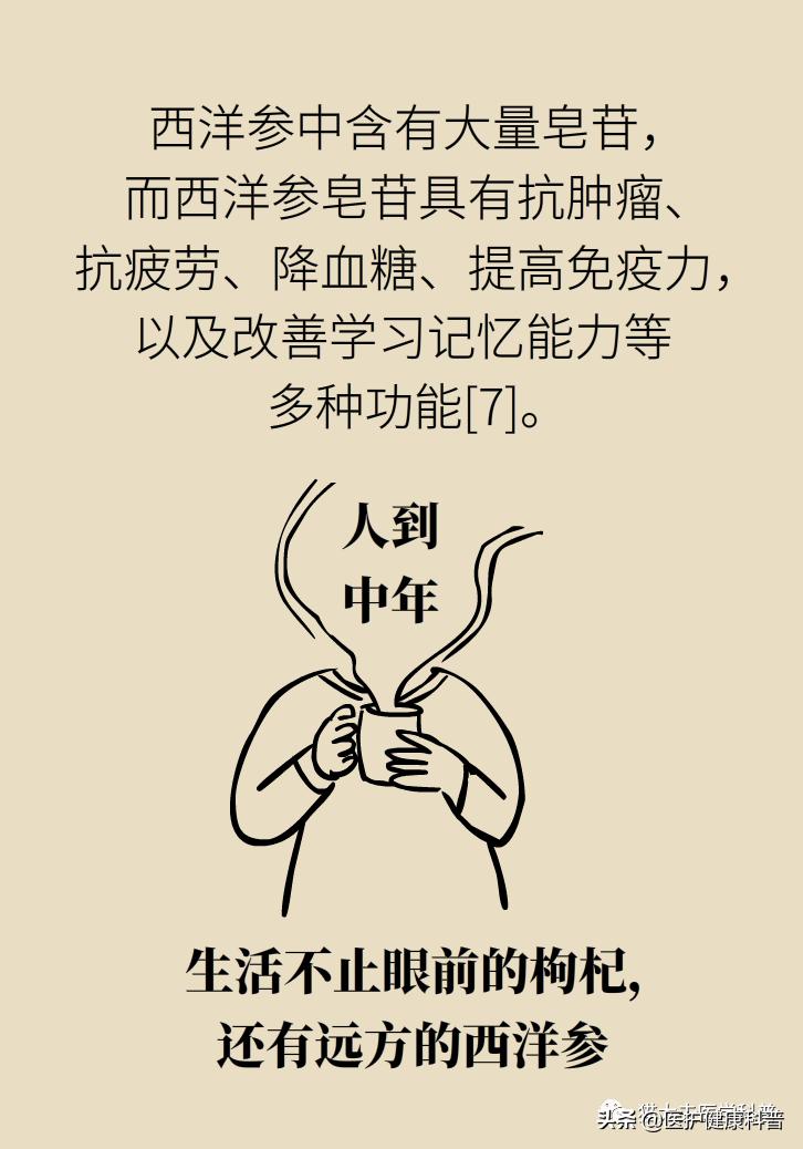 人参红参西洋参哪个提高免疫力好,人参党参红参西洋参有什么区别