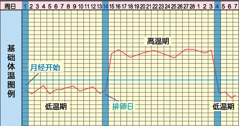 多囊卵巢综合症怀孕的几率有多少,多囊想怀孕尽快这样做