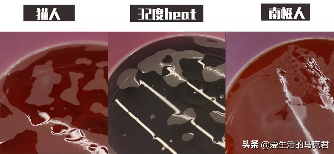 优衣库的保暖内衣哪一款好,优衣库哪款保暖内衣排汗最好