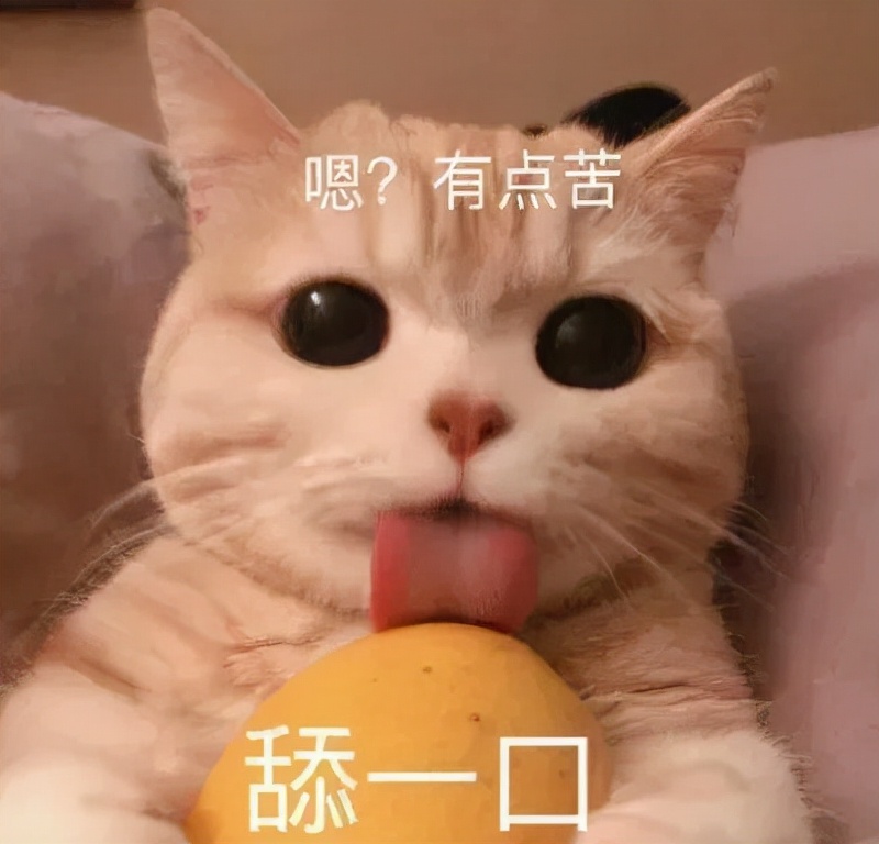 贴秋膘长胖,不贴秋膘减肥操