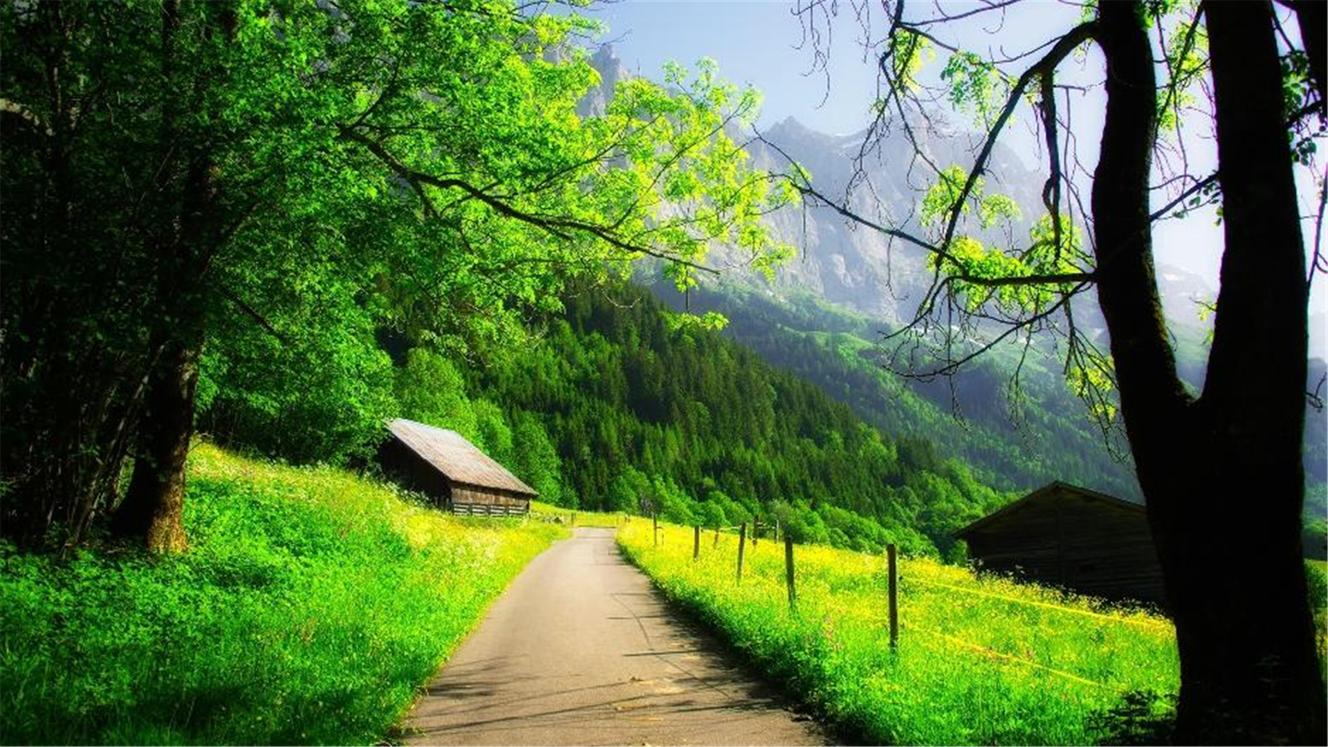 蓝色护眼壁纸唯美图片,最美的护眼桌面壁纸