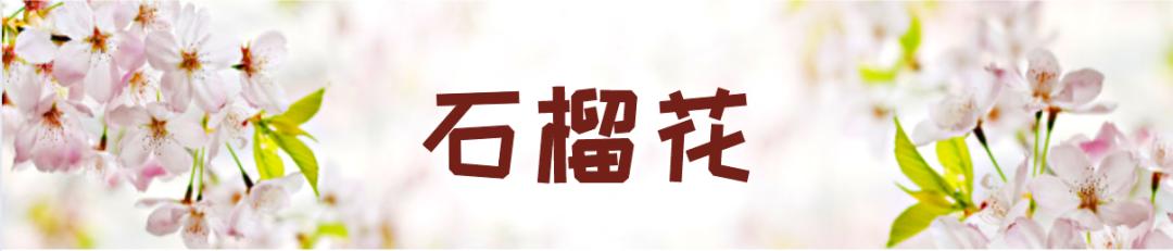 在云南，做一个“花吃”，挺好