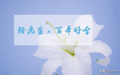 推文完结一口气看完甜宠文,推文一口气看完甜宠文