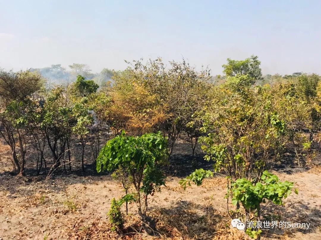 流浪非洲，乘坐中国援建火车去赞比亚，满满的亲切