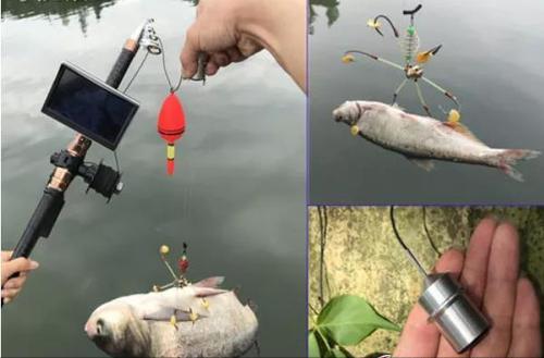 可视锚鱼在什么区域不违法,锚鱼在禁鱼区没锚到严重吗