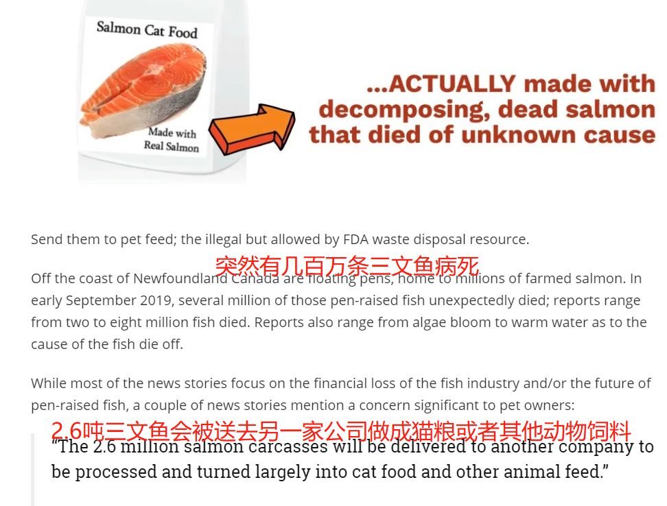 人都可以吃的西班牙主食狗湿粮可以合法进来啦，快乐+1，84%肉