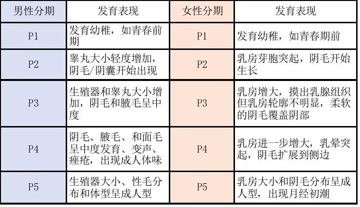 青春期身高与男女有关吗,青春期身高发育标准表