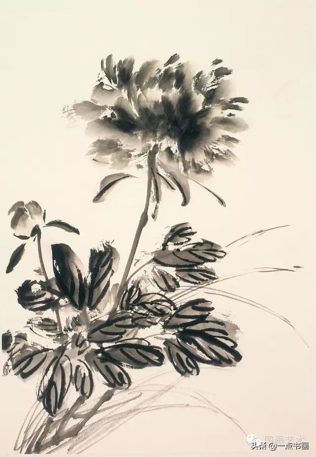 王绣写意牡丹画法步骤,王兮然写意牡丹画法视频大全