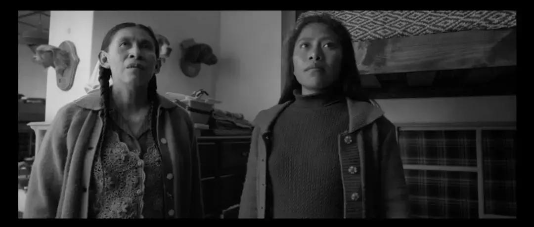 奥斯卡评选20世纪100部电影,奥斯卡10个奖项