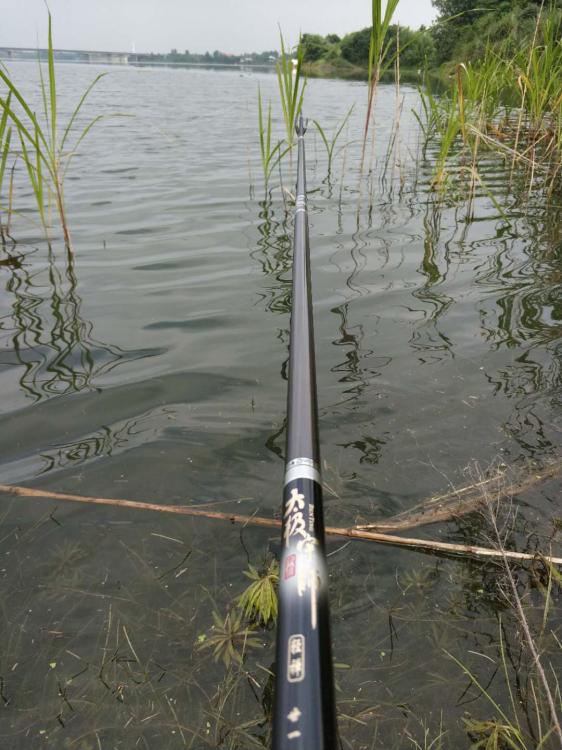 新手选鱼竿怎么选,新手怎么选鱼竿最合适