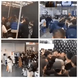 迷惑潮流大赏 (迷惑行为大赏你被吸引了吗)