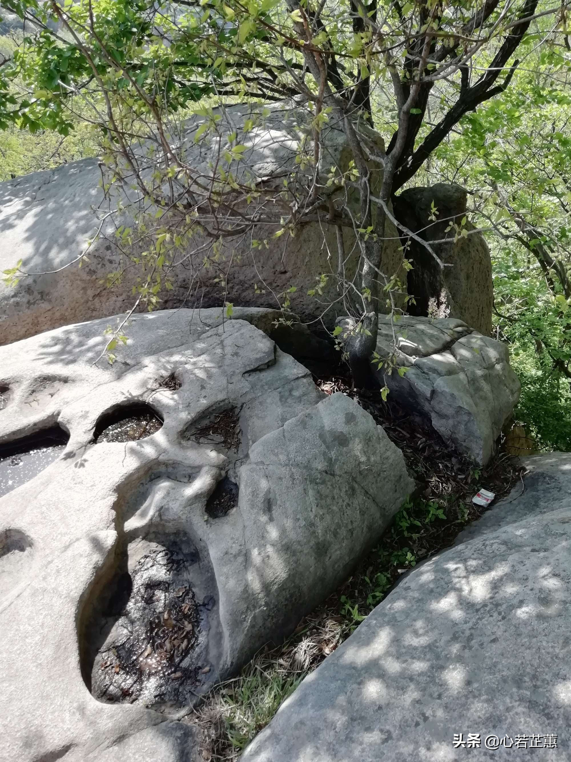 这里山景独美,这里怪石嶙峋
