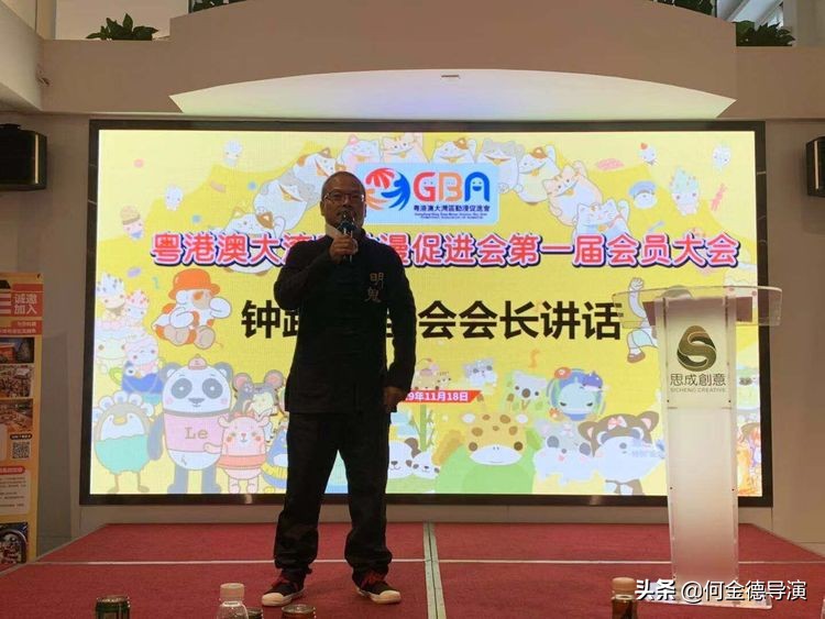 广东粤港澳大湾区促进会,广东省粤港澳大湾区促进会