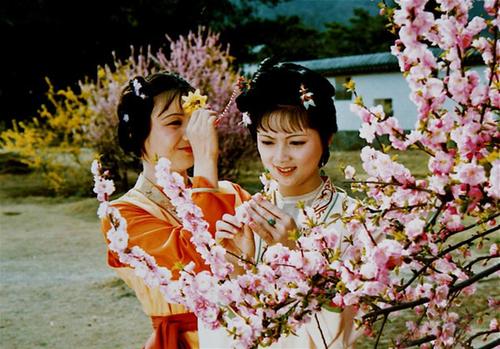 论红楼梦中林黛玉,林黛玉薛宝钗情商分析