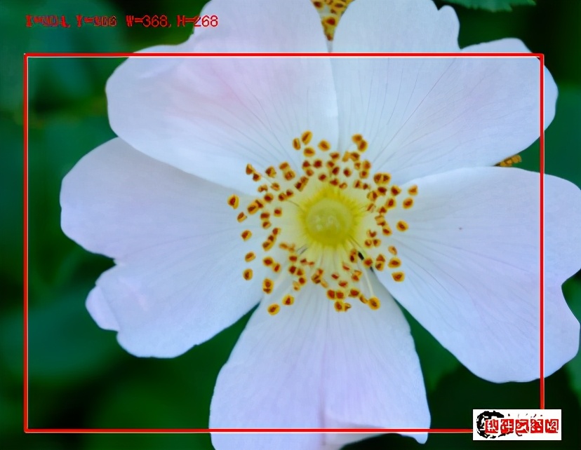 四种屏幕,四种视频同屏轮播