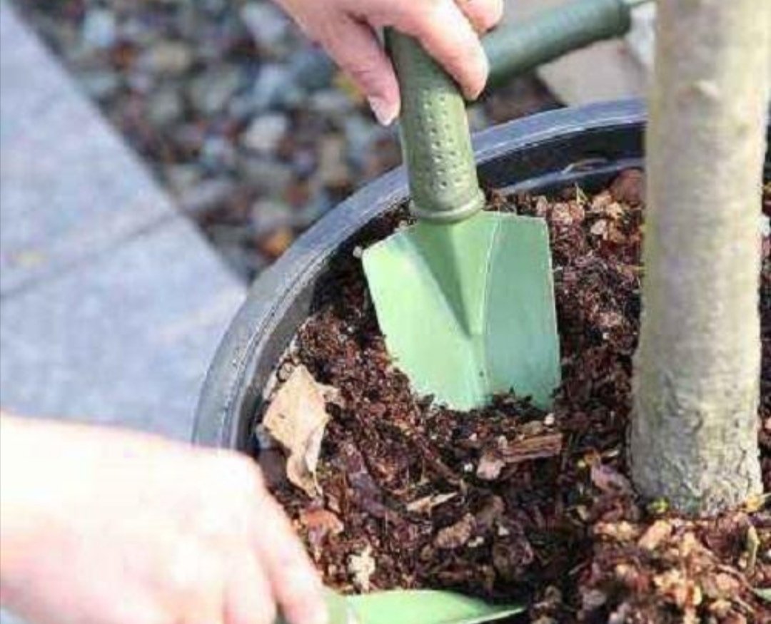 田地里的土壤太硬怎么办,土壤太硬了怎么变松散