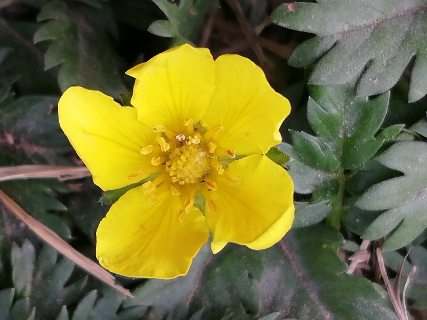 努力学习的动力来自哪里,努力学习的动力其实只有你