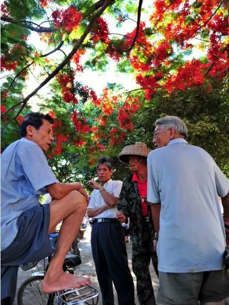 距海南20km有片处女地，比台湾风情比三亚便宜，路过都错过了