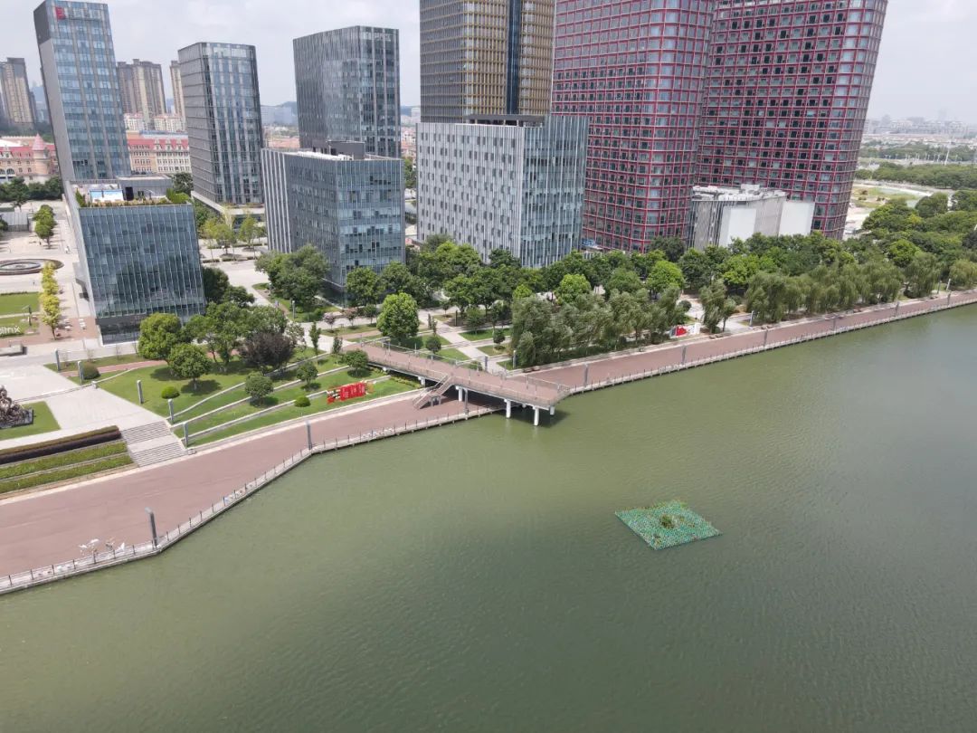 用36张照片记录我们的2022,我们用照片记录青春