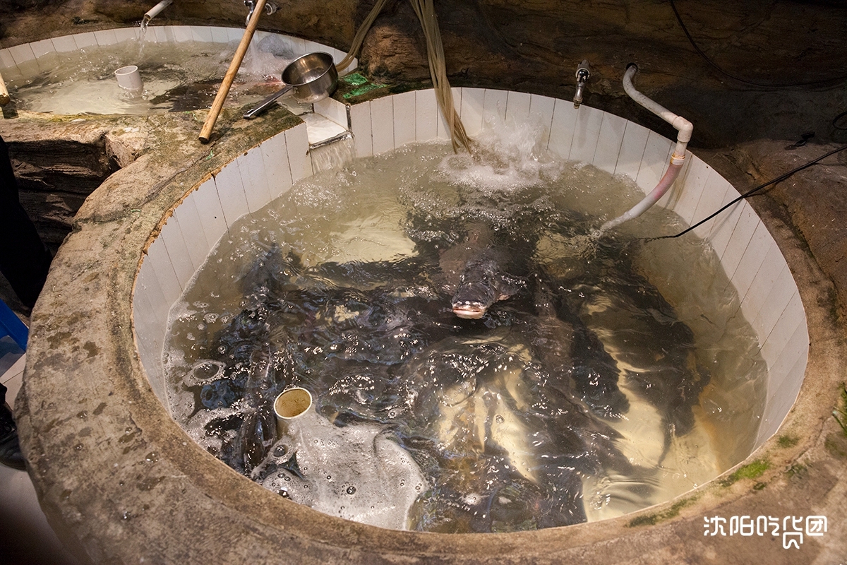 东北的骄傲视频,东北的骄傲有哪些