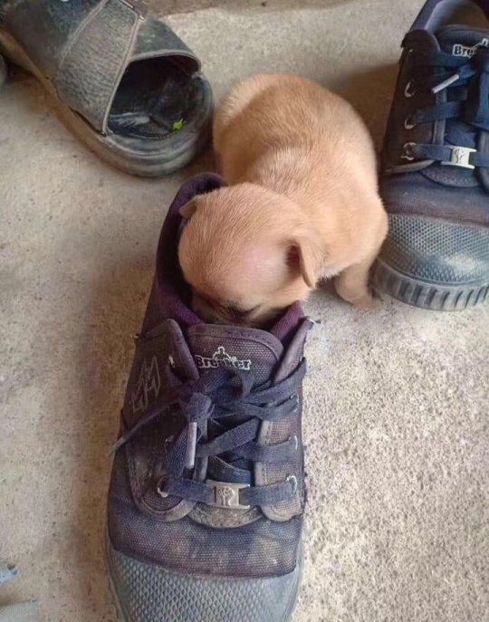 女神在宿舍做什么羞事​​​​|今日爆笑囧图