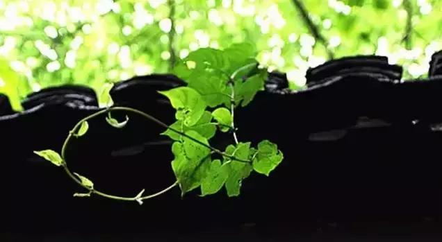 古人的夏天怎么凉快的,古人夏天没有空调怎么避暑