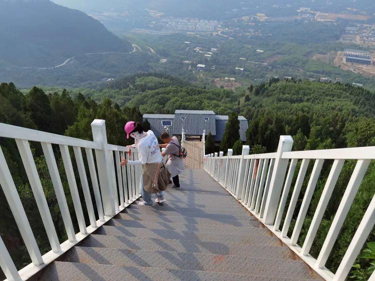 济南灵岩大佛山景区,济南灵岩寺大佛风景区