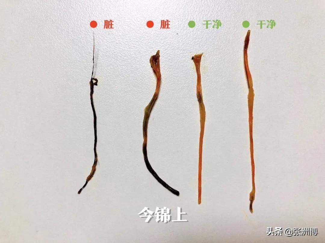 网红红黑榜,今年小龙虾排行榜