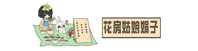 长寿花叶子一碰就掉是怎么回事,长寿花叶子一碰就掉怎么办