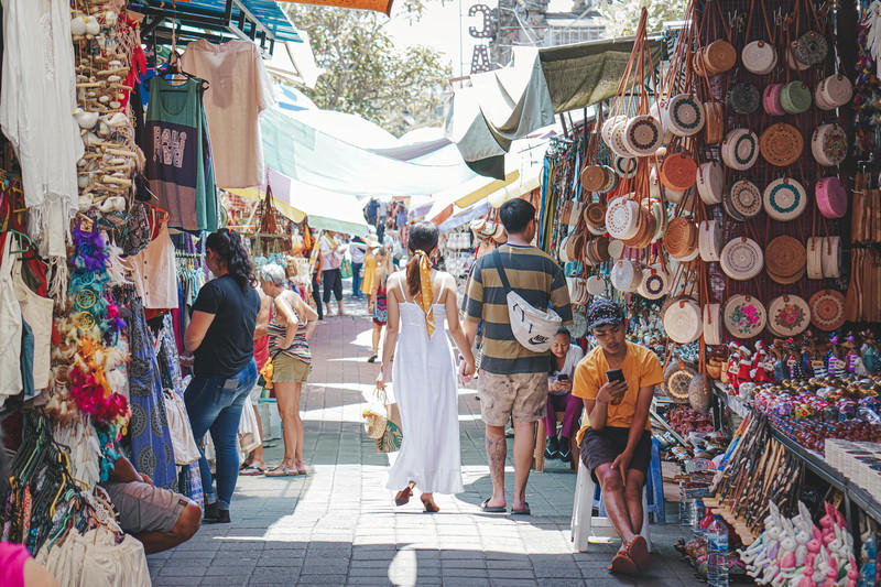 一人一猫环游,一人一猫旅行