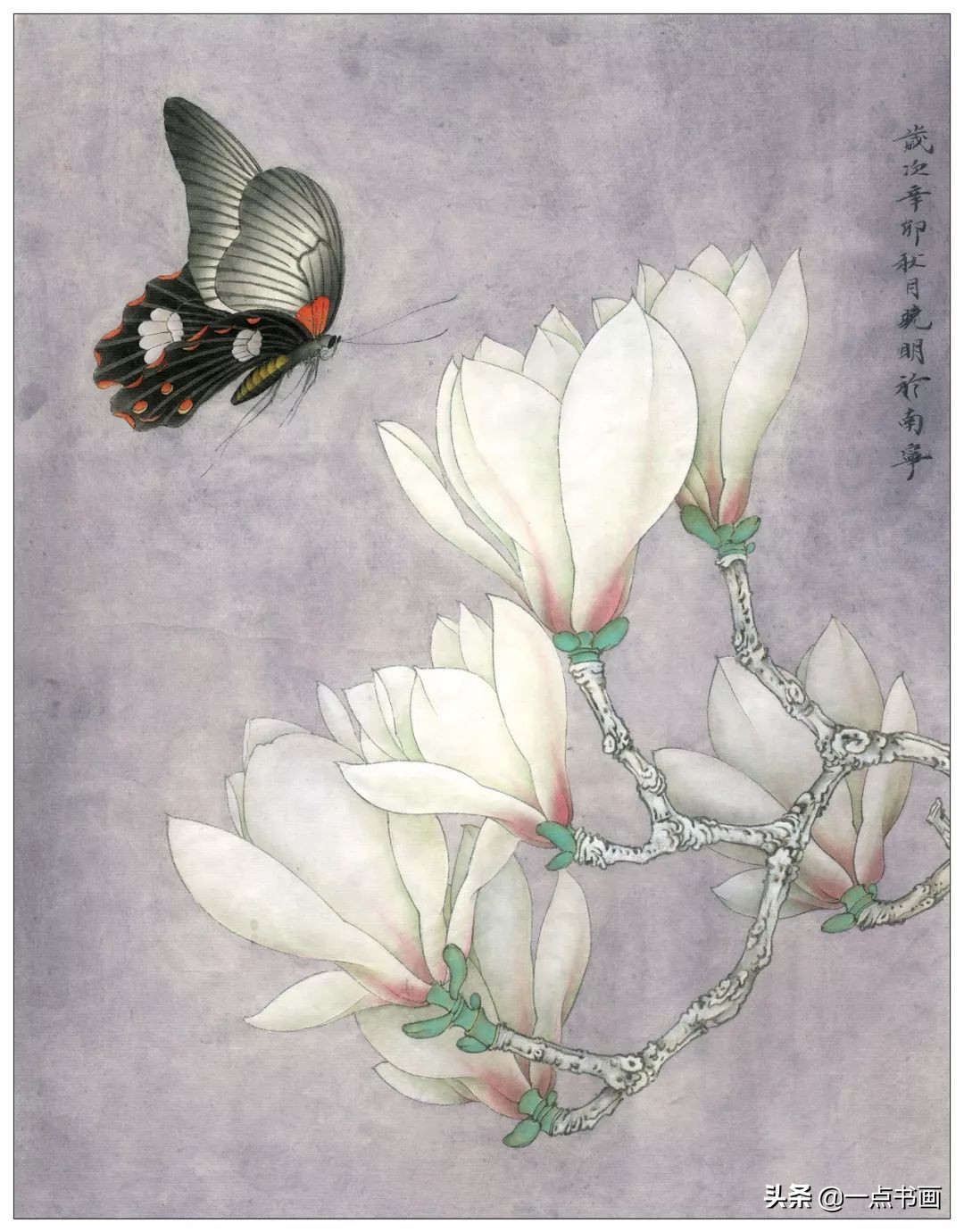玉兰蝴蝶工笔绘制示范,玉兰蝴蝶工笔画上色步骤