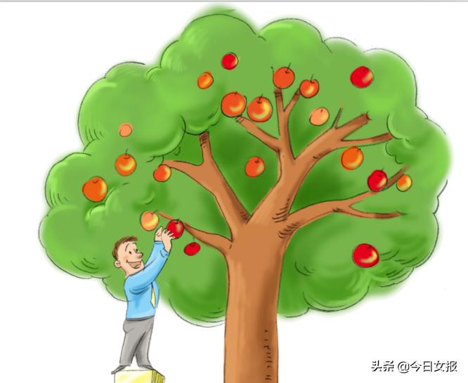 枇杷果过敏事件,业主采摘小区水果坠树事故责任