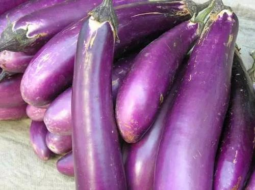 一顿吃一个茄子茄碱会中毒吗,吃茄子豆角中毒