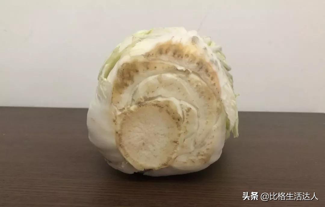 疫情买菜app排行榜前十名,现在买菜app有哪些